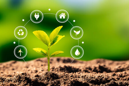 Sustentabilidade Empresarial