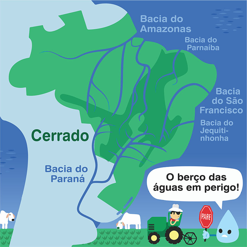 Cerrado é o berço das águas do Brasil