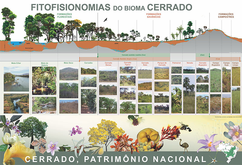 Cerrado, patrimônio nacional