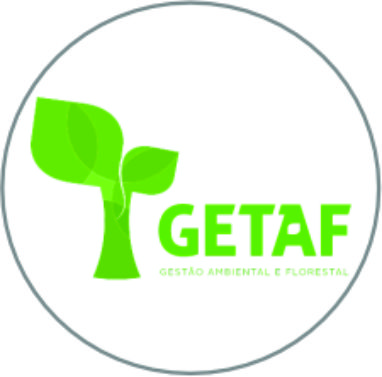 LogoG