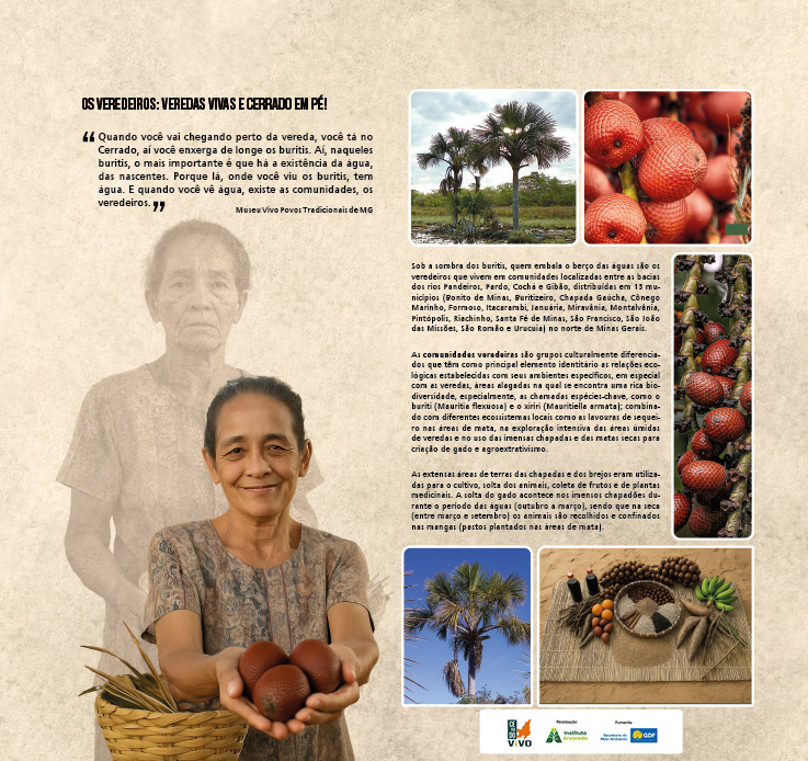 MONTAGEM PAINEIS OTIMIZADO15