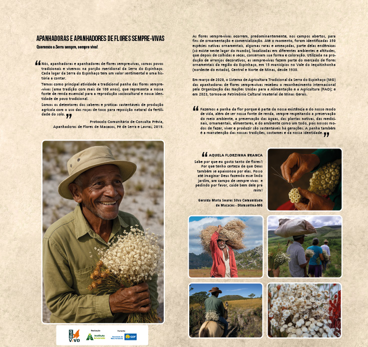 MONTAGEM PAINEIS OTIMIZADO16