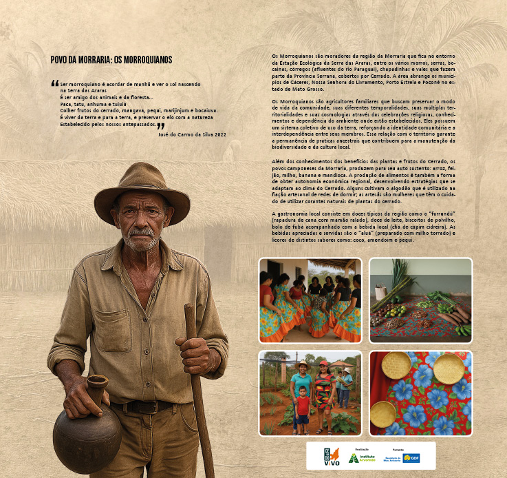 MONTAGEM PAINEIS OTIMIZADO17