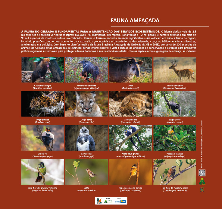 MONTAGEM PAINEIS OTIMIZADO3