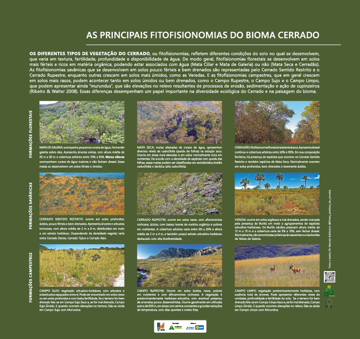 MONTAGEM PAINEIS OTIMIZADO4