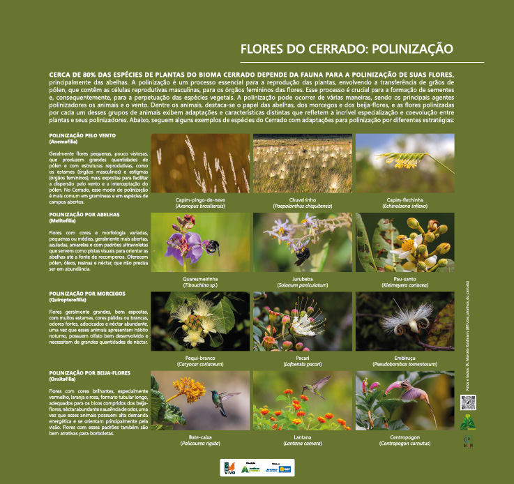 MONTAGEM PAINEIS OTIMIZADO5