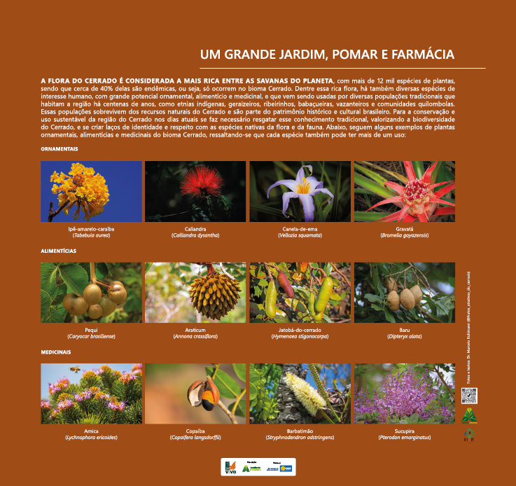 MONTAGEM PAINEIS OTIMIZADO6