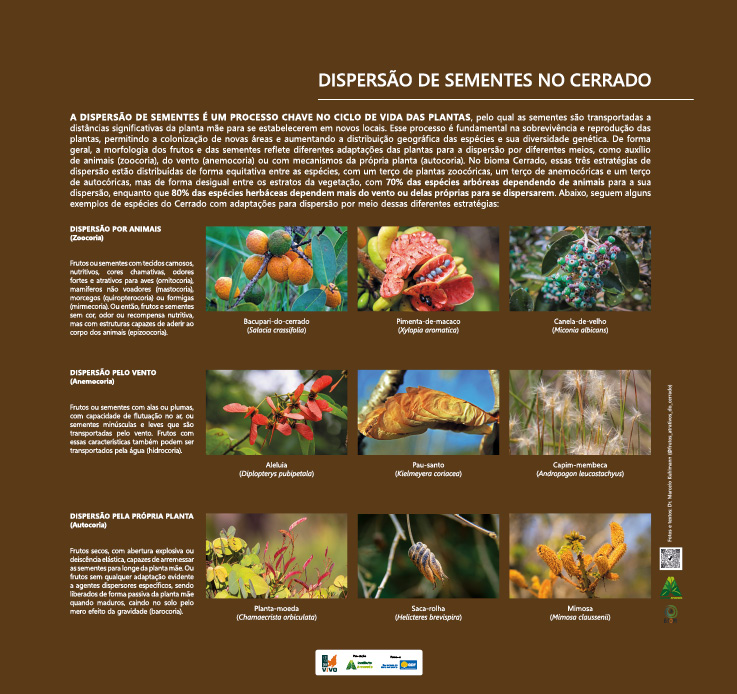 MONTAGEM PAINEIS OTIMIZADO8