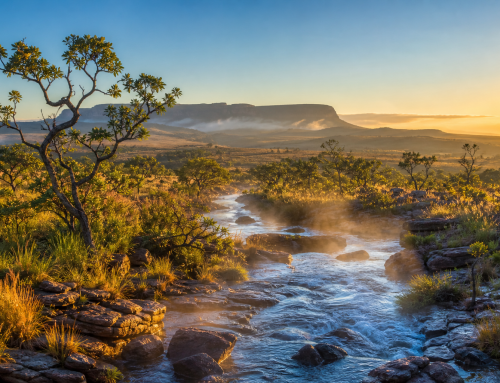 Cerrado: o berço das águas do Brasil