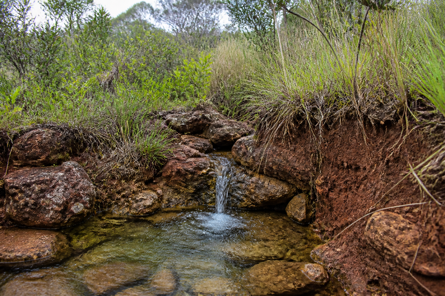Nascente entre rochas, solo avermelhado e raízes de vegetação nativa do Cerrado