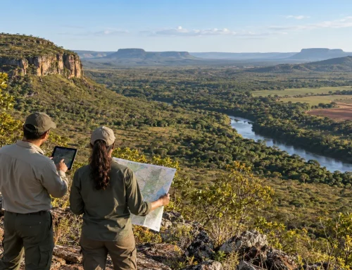 PPCerrado: como funciona o plano de proteção do Cerrado
